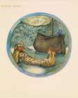 The Flower Book Meadow Sweet 1905 Art Print