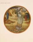 The Flower Book Star of Bethlehem 1905 Art Print