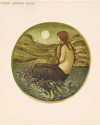 The Flower Book Venus Looking Glass 1905 Art Print
