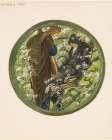 The Flower Book Witches Tree 1905 Art Print