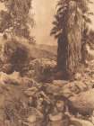 Andres Canyon 1924 Art Print