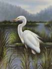 Morning Egret Art Print