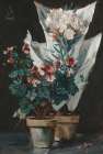 Still life with potted geraniums Art Print