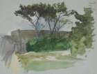 Study of landscape with trees and stone wall Art Print