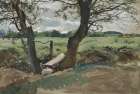 Study of two trees and a field Art Print