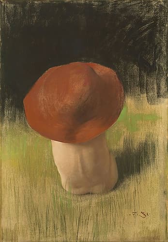 The Mushroom 1882 Art Print