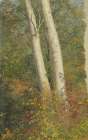 Birch Trees in Autumn 1865 Art Print