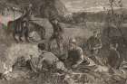 Cowboys of Arizona roused by a scout 1882 Vintage Print