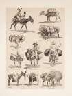 Mexican burros 1889 Vintage Print