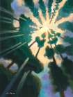 Fantasia of Summer Art Print