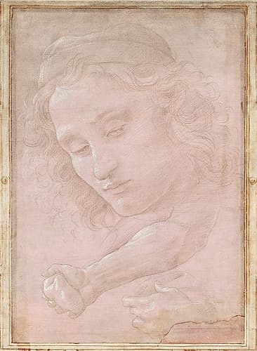 Head of a Youth Wearing a Cap 1480 Renaissance Print