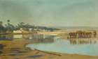 Camels Watering in the Desert Art Print