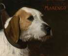 Marengo Art Print