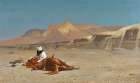 Rider and His Steed In The Desert Art Print