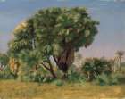 Study of Palm Trees 1868 Art Print