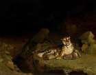 Tiger and Cubs 1884 Art Print