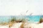 Coastal Series #10 Art Print