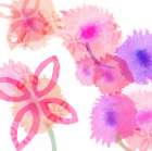 Pink Poppies II Art Print