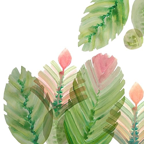 Flowering Cactus II Art Print