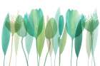 Serene Greens IV Art Print