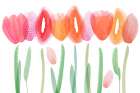 Joyful Flowers Art Print