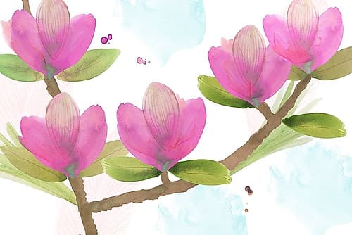 Pink Magnolia I Art Print
