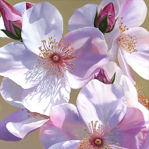 Fascination Art Print