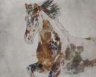 Madison Horse Art Print