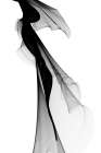 Black and White Modern Minimal I Art Print