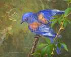 Virginia Creeper Bluebird Art Print