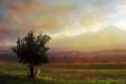 Tuscan Dawn Fox Art Print