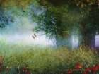 Cottonwood Fog Art Print
