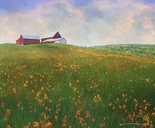 Meadow Farm Super Bloom Art Print