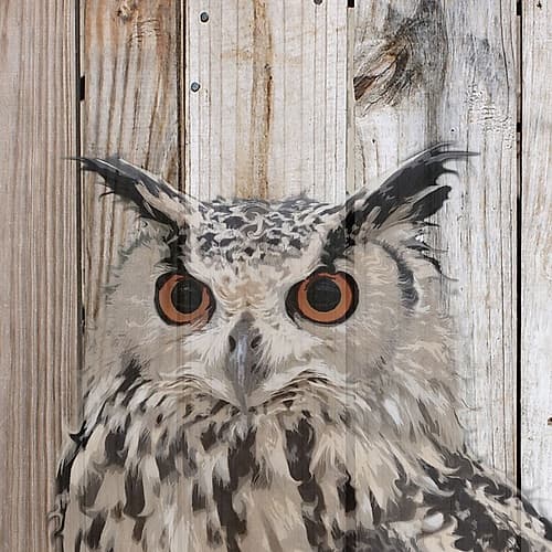 Owlish Art Print by Karen Smith