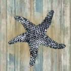 Starfish Art Print