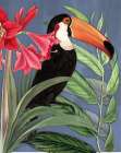 Toucan Jungle I Art Print