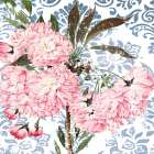 Rosewall I Art Print