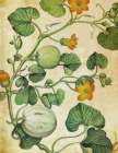 Botanical Grunge III Art Print