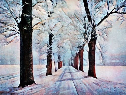 Walk Down Winter Lane Landscape Print
