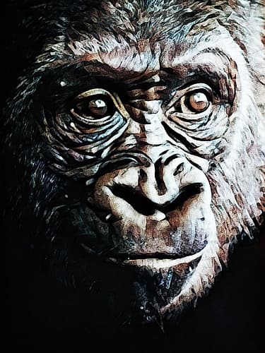 Primate Perfection I Animaux reproduction