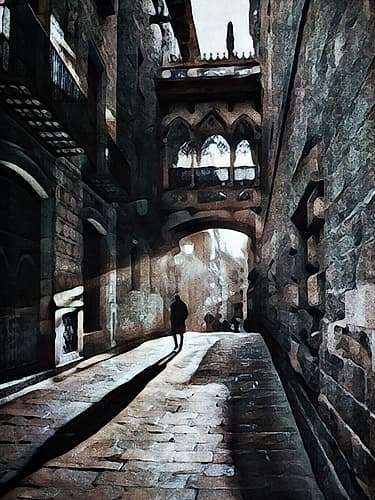 Shadowed by Solitude Art Print