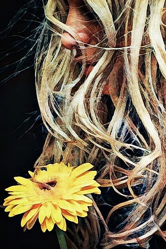 Golden Gerbera For Goldilocks Figurative Print