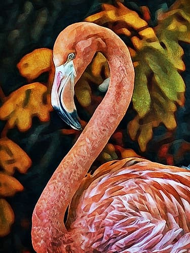 Poised Pink Flamingo Art Print