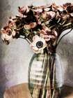 Dried Pastel Poppies Art Print