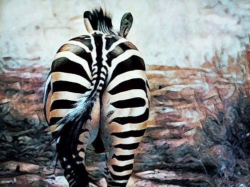 Zebra Butt Beautiful Art Print