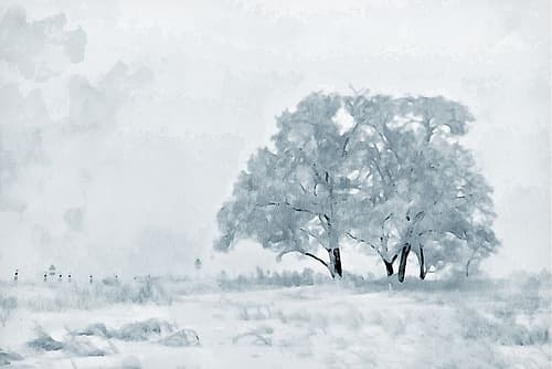 Snow Tree Landscape Print