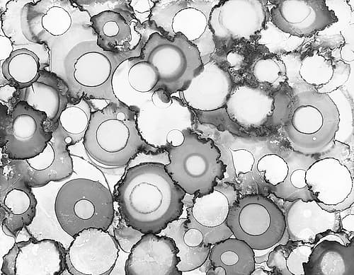 Black Circles Art Print by Kim Curinga