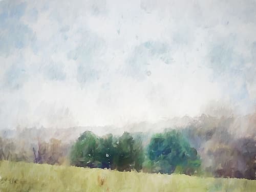 Trees in Color Landscape Print