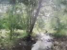 Shady Creek Art Print