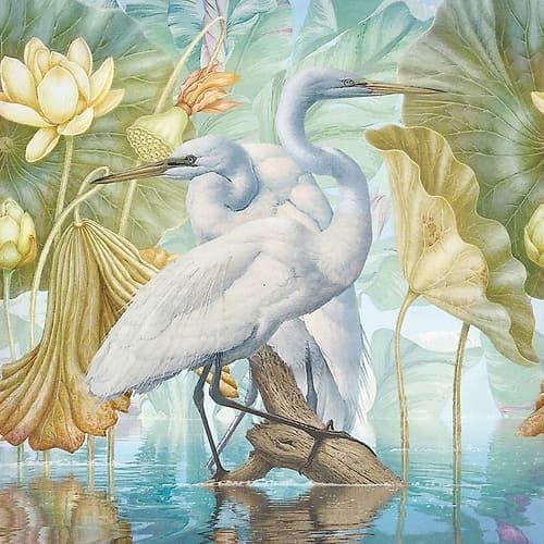 Water Walkers I Animaux reproduction